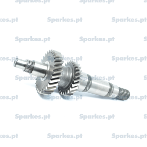 Main shaft