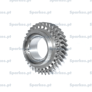 Carreto 5ª, 37th ( 23th )