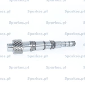Spur pinion 18-36-32-21 T