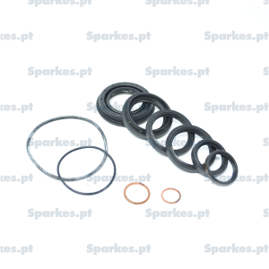 Oil seal kit